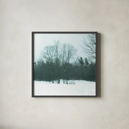 Snowfall by Sue Schlabach. Shown in a sleek black glass frame for a contemporary gallery look. Available as an archival giclee rolled canvas, fine art paper, or poster print. SKU 60938a.