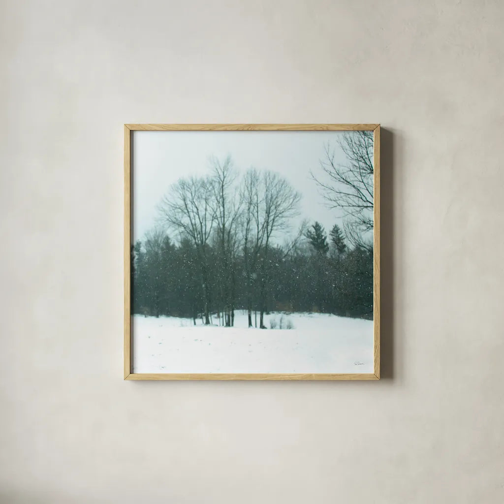 Snowfall by Sue Schlabach. Shown in a natural wood glass frame for a timeless modern aesthetic. Available as an archival giclee rolled canvas, fine art paper, or poster print. SKU 60938a.