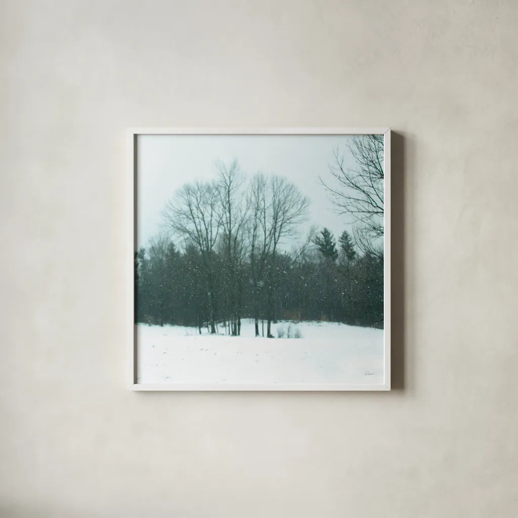 Snowfall by Sue Schlabach. Shown in a crisp white glass frame for a clean and minimalist style. Available as an archival giclee rolled canvas, fine art paper, or poster print. SKU 60938a.
