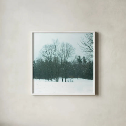 Snowfall by Sue Schlabach. Shown in a crisp white glass frame for a clean and minimalist style. Available as an archival giclee rolled canvas, fine art paper, or poster print. SKU 60938a.