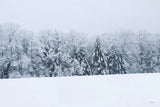Snowshoe Hill by Sue Schlabach. SKU 60937i. Archival Giclee Fine art print for wall decor.