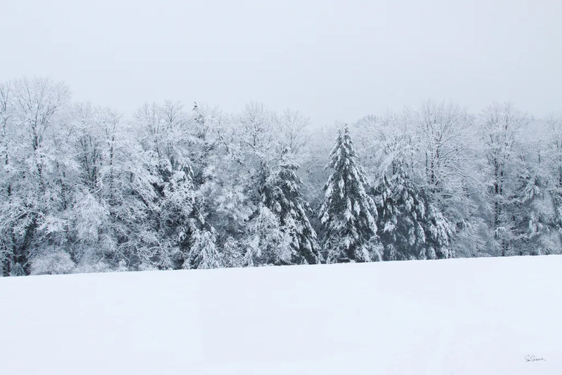 Snowshoe Hill by Sue Schlabach. SKU 60937i. Archival Giclee Fine art print for wall decor.