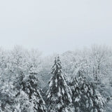 Snowshoe Hill Deep Crop by Sue Schlabach. SKU 75781a. Archival Giclee Fine art print for wall decor.