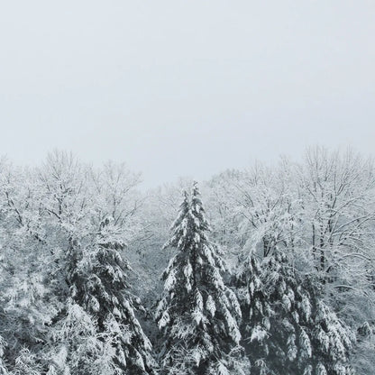 Snowshoe Hill Deep Crop by Sue Schlabach. SKU 75781a. Archival Giclee Fine art print for wall decor.