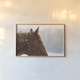 Snowy Caleb by Sue Schlabach. shown as a paper print in a natural frame. Available as a archival giclee rolled canvas, fine art paper, or poster print. SKU 60936i.