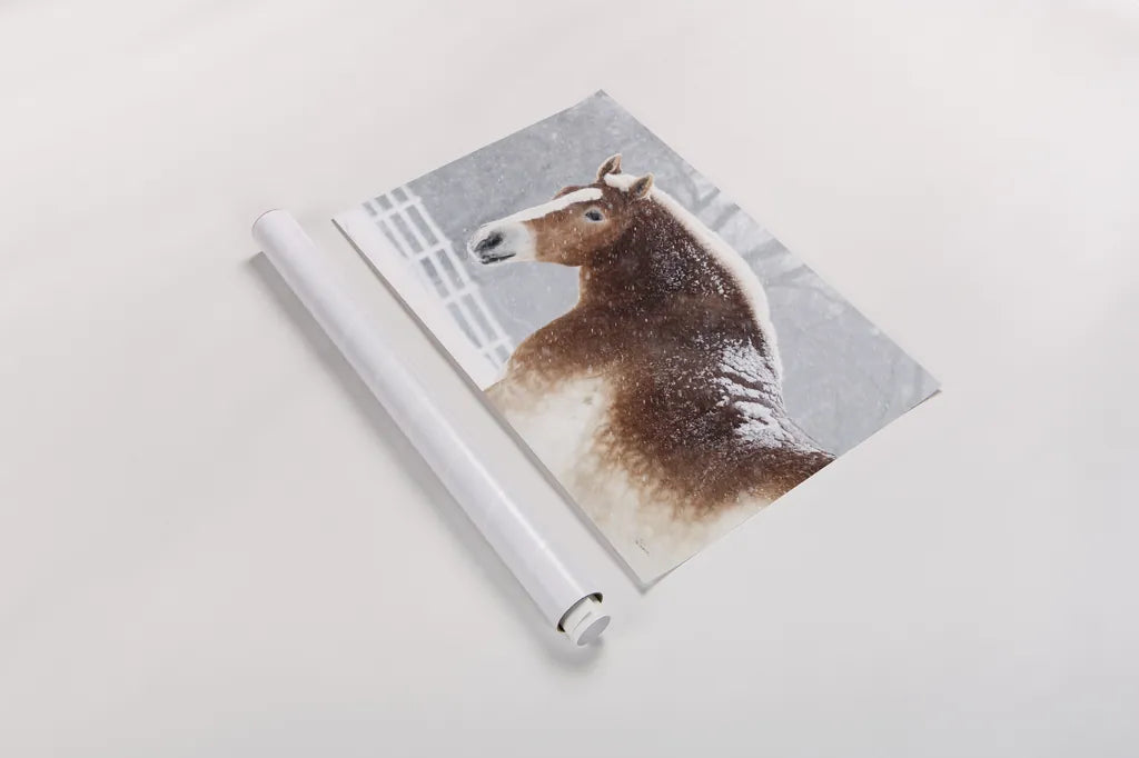 Snowy Draft Horse by Sue Schlabach. shown as a rolled paper print. Available as archival giclee rolled canvas, fine art paper, or poster print. SKU 75784i.