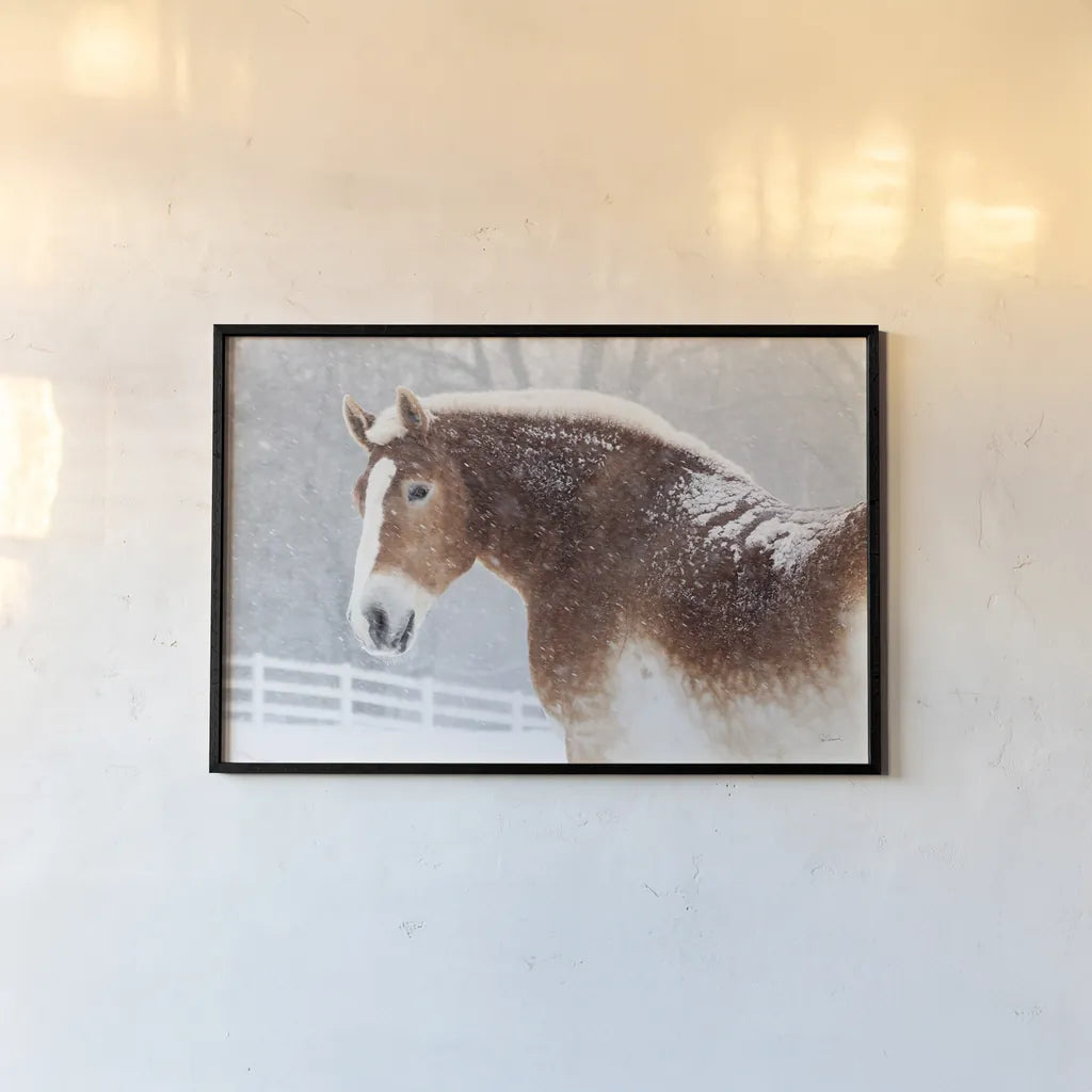 Snowy Draft Horse by Sue Schlabach. shown as a paper print in a black flame. Available as a archival giclee rolled canvas, fine art paper, or poster print. SKU 75784i.