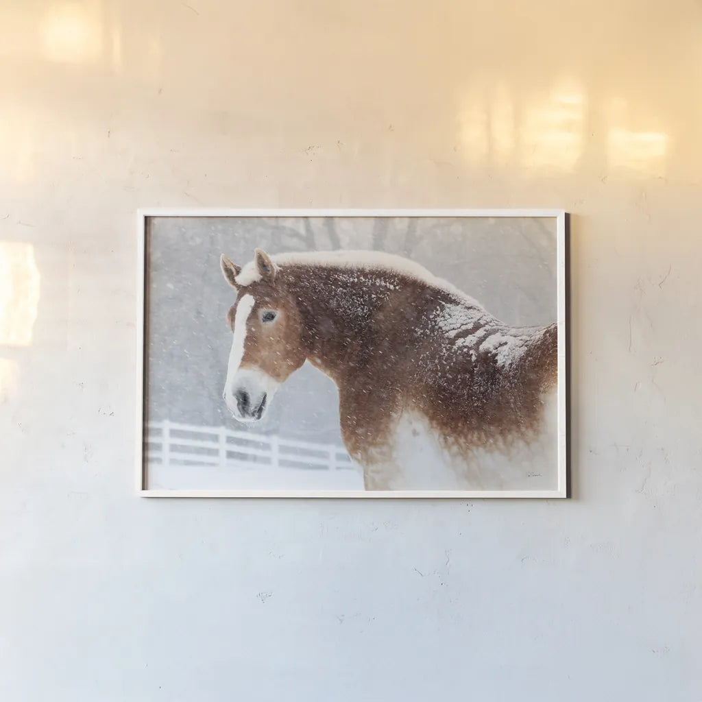Snowy Draft Horse by Sue Schlabach. shown as a paper print in a white frame. Available as a archival giclee rolled canvas, fine art paper, or poster print. SKU 75784i.