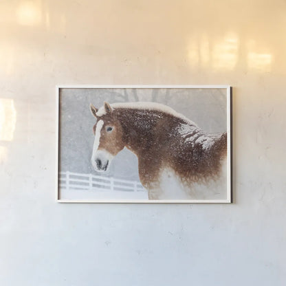Snowy Draft Horse by Sue Schlabach. shown as a paper print in a white frame. Available as a archival giclee rolled canvas, fine art paper, or poster print. SKU 75784i.