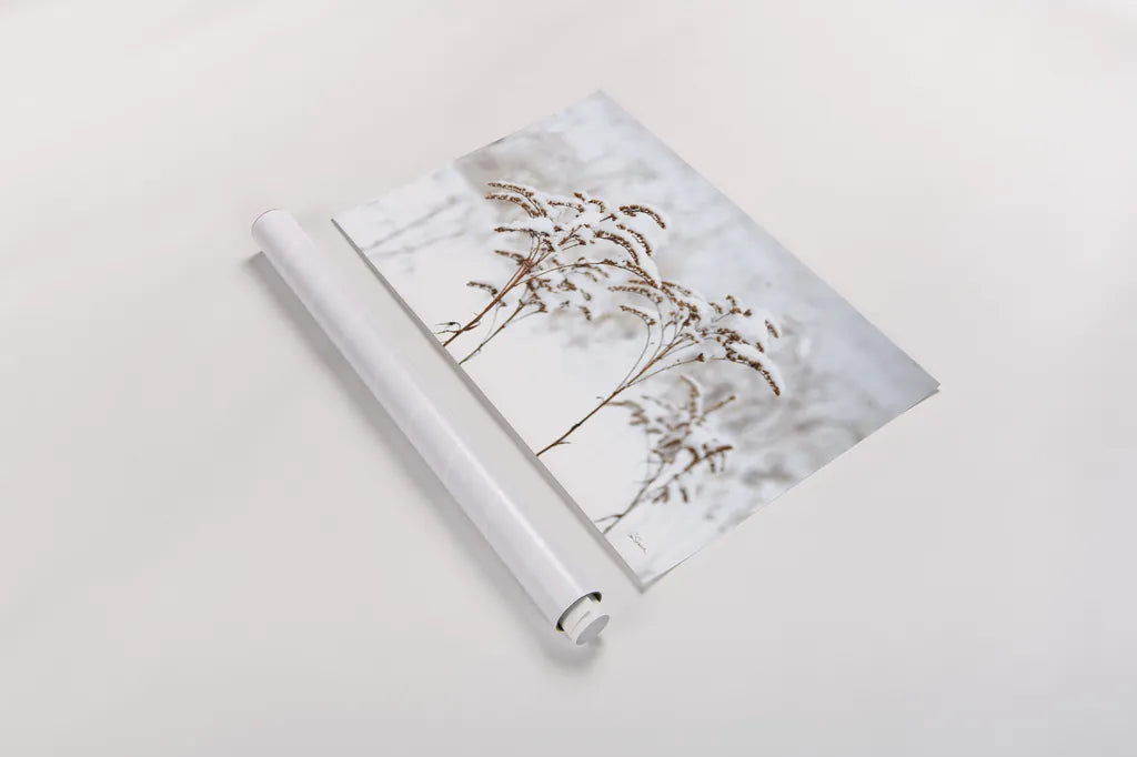 Snowy Gardens by Sue Schlabach. shown as a rolled paper print. Available as archival giclee rolled canvas, fine art paper, or poster print. SKU 75783i.