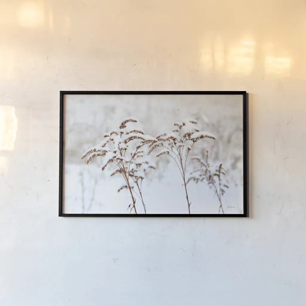 Snowy Gardens by Sue Schlabach. shown as a paper print in a black flame. Available as a archival giclee rolled canvas, fine art paper, or poster print. SKU 75783i.