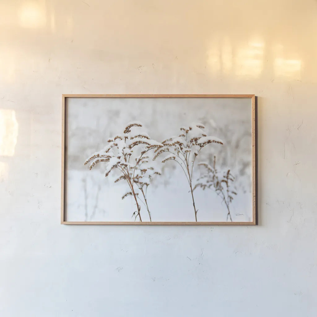Snowy Gardens by Sue Schlabach. shown as a paper print in a natural frame. Available as a archival giclee rolled canvas, fine art paper, or poster print. SKU 75783i.