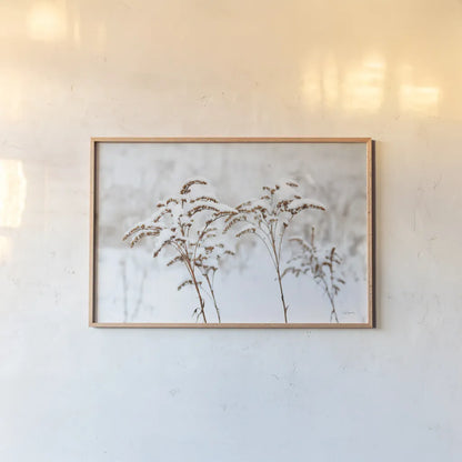 Snowy Gardens by Sue Schlabach. shown as a paper print in a natural frame. Available as a archival giclee rolled canvas, fine art paper, or poster print. SKU 75783i.