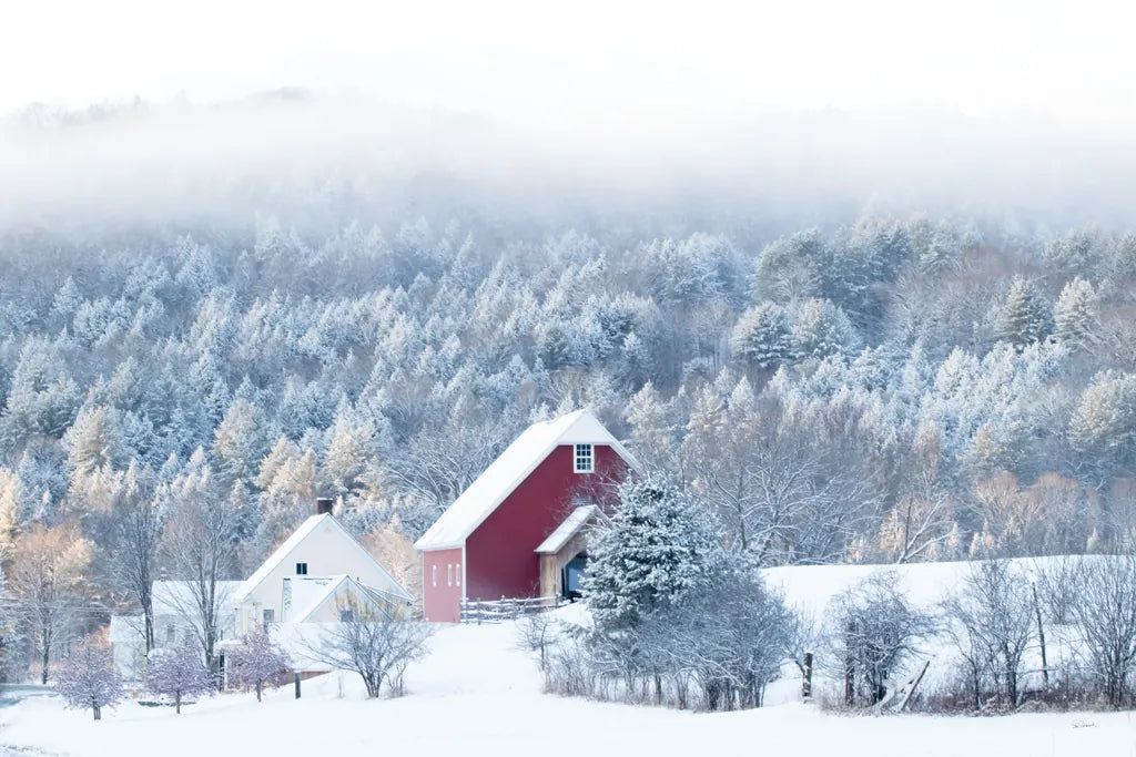 Snowy Valley by Sue Schlabach. SKU 60935i. Archival Giclee Fine art print for wall decor.