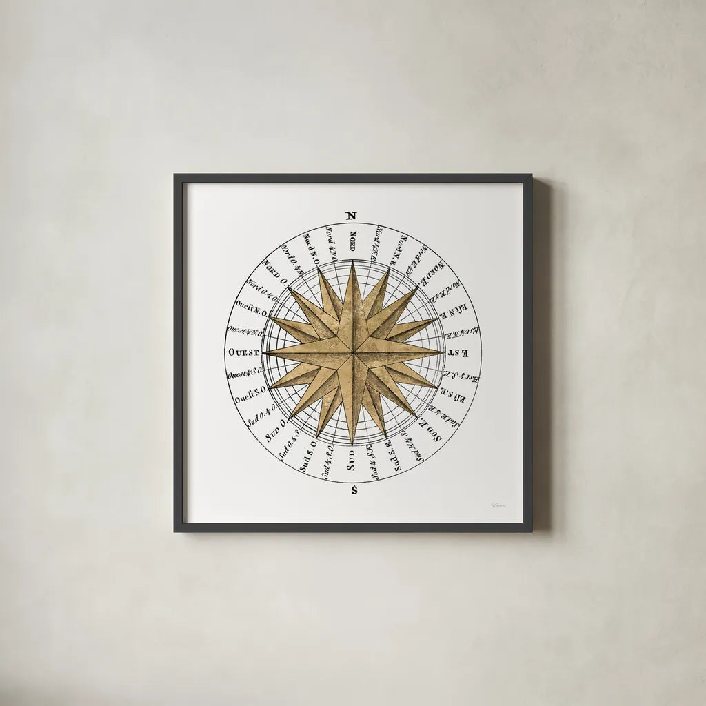 Solar Globe II by Sue Schlabach. Shown in a sleek black glass frame for a contemporary gallery look. Available as an archival giclee rolled canvas, fine art paper, or poster print. SKU 64623a.