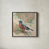 Songbird Robin by Sue Schlabach. Shown in a sleek black glass frame for a contemporary gallery look. Available as an archival giclee rolled canvas, fine art paper, or poster print. SKU 88561a.