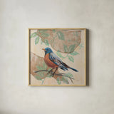 Songbird Robin by Sue Schlabach. Shown in a natural wood glass frame for a timeless modern aesthetic. Available as an archival giclee rolled canvas, fine art paper, or poster print. SKU 88561a.