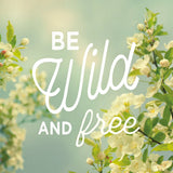 Spring Beauty II Square by Sue Schlabach. SKU 21685a. Archival Giclee Fine art print for wall decor.
