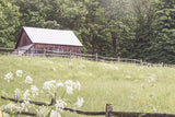 Summer Farm I by Sue Schlabach. SKU 79100i. Archival Giclee Fine art print for wall decor.
