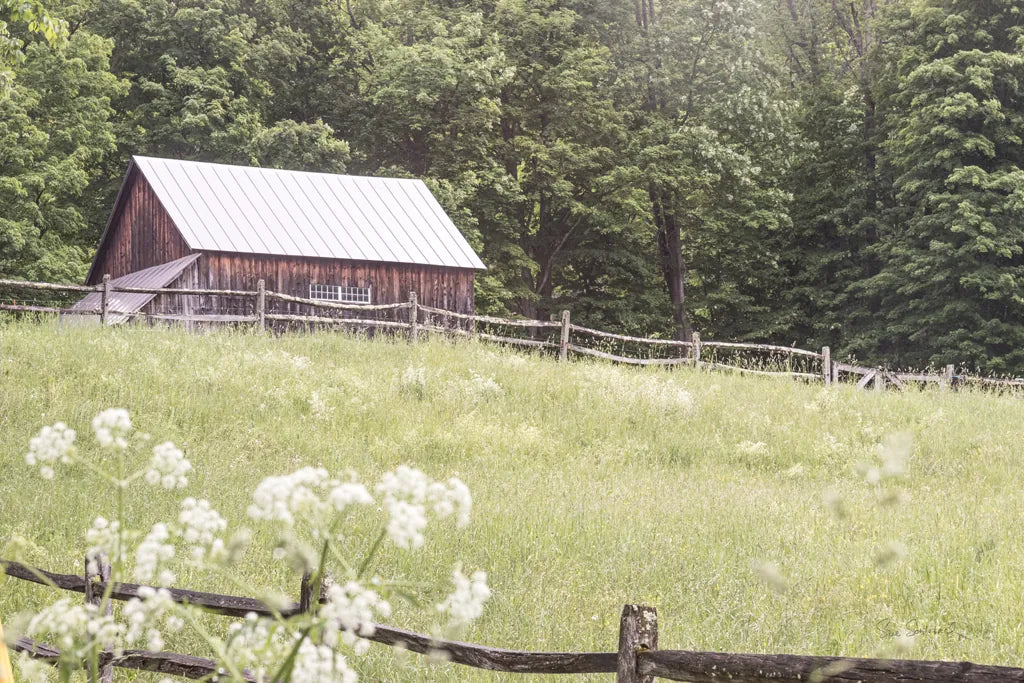 Summer Farm I by Sue Schlabach. SKU 79100i. Archival Giclee Fine art print for wall decor.