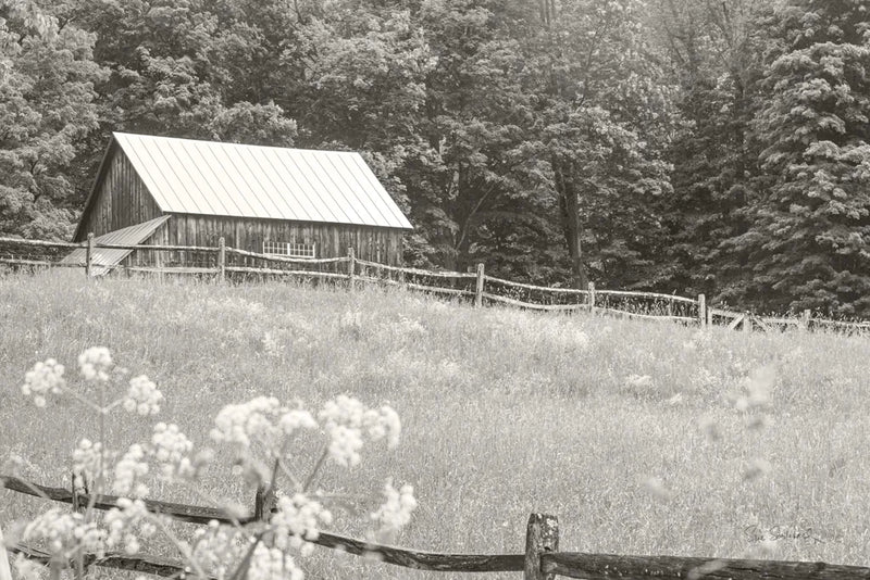 Summer Farm I BW by Sue Schlabach. SKU 79103i. Archival Giclee Fine art print for wall decor.