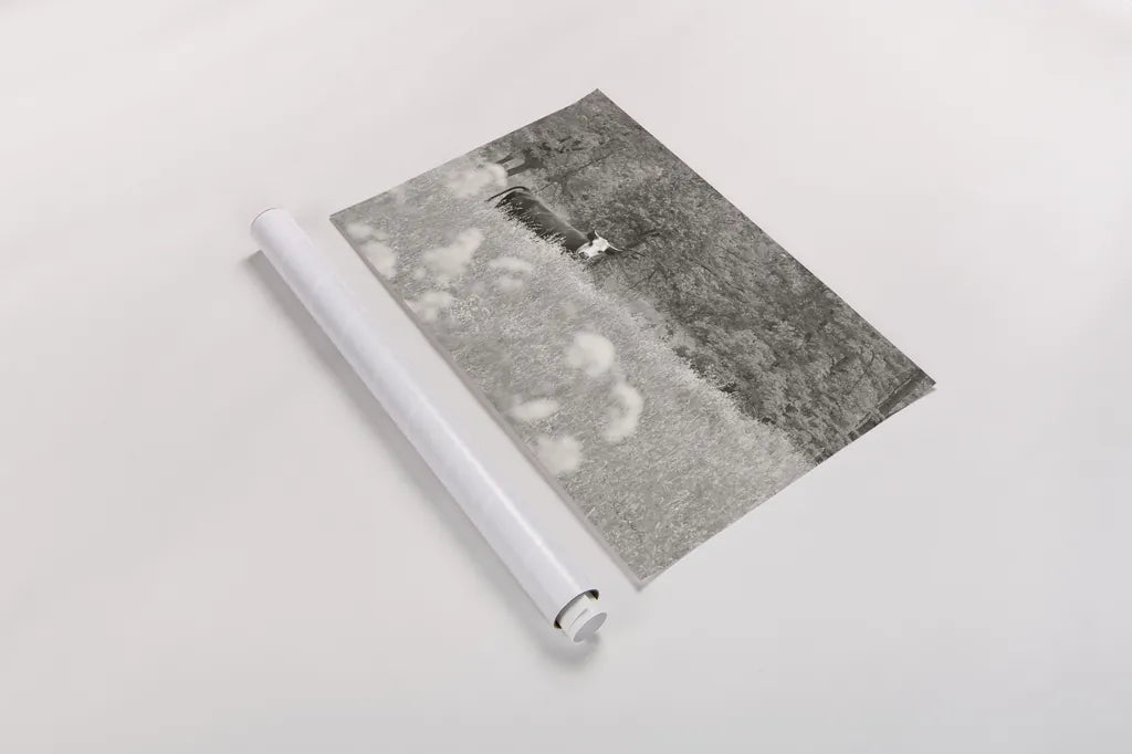 Summer Farm II BW by Sue Schlabach. shown as a rolled paper print. Available as archival giclee rolled canvas, fine art paper, or poster print. SKU 79104i.