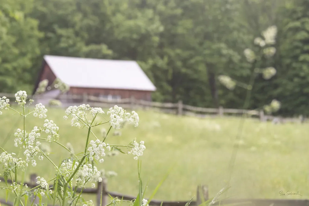 Summer Farm III by Sue Schlabach. SKU 79102i. Archival Giclee Fine art print for wall decor.