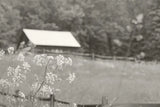Summer Farm III BW by Sue Schlabach. SKU 79105i. Archival Giclee Fine art print for wall decor.