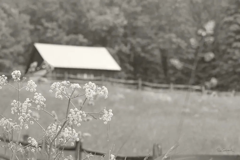 Summer Farm III BW by Sue Schlabach. SKU 79105i. Archival Giclee Fine art print for wall decor.
