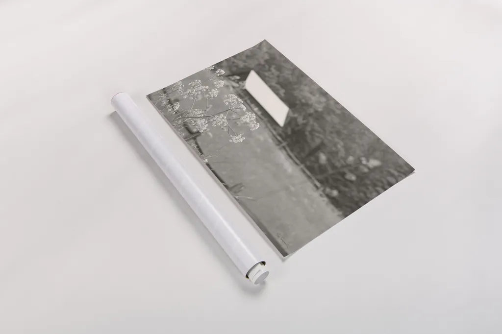 Summer Farm III BW by Sue Schlabach. shown as a rolled paper print. Available as archival giclee rolled canvas, fine art paper, or poster print. SKU 79105i.