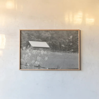 Summer Farm III BW by Sue Schlabach. shown as a paper print in a natural frame. Available as a archival giclee rolled canvas, fine art paper, or poster print. SKU 79105i.