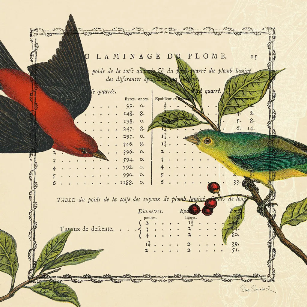 Summer Pages I by Sue Schlabach. SKU 5902a. Archival Giclee Fine art print for wall decor.