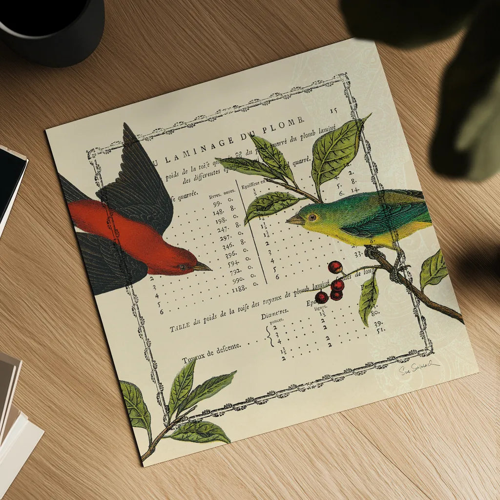 Summer Pages I by Sue Schlabach. Shown as a detailed flat fine art print, highlighting archival giclee quality. Available as an archival giclee rolled canvas, fine art paper, or poster print. SKU 5902a.