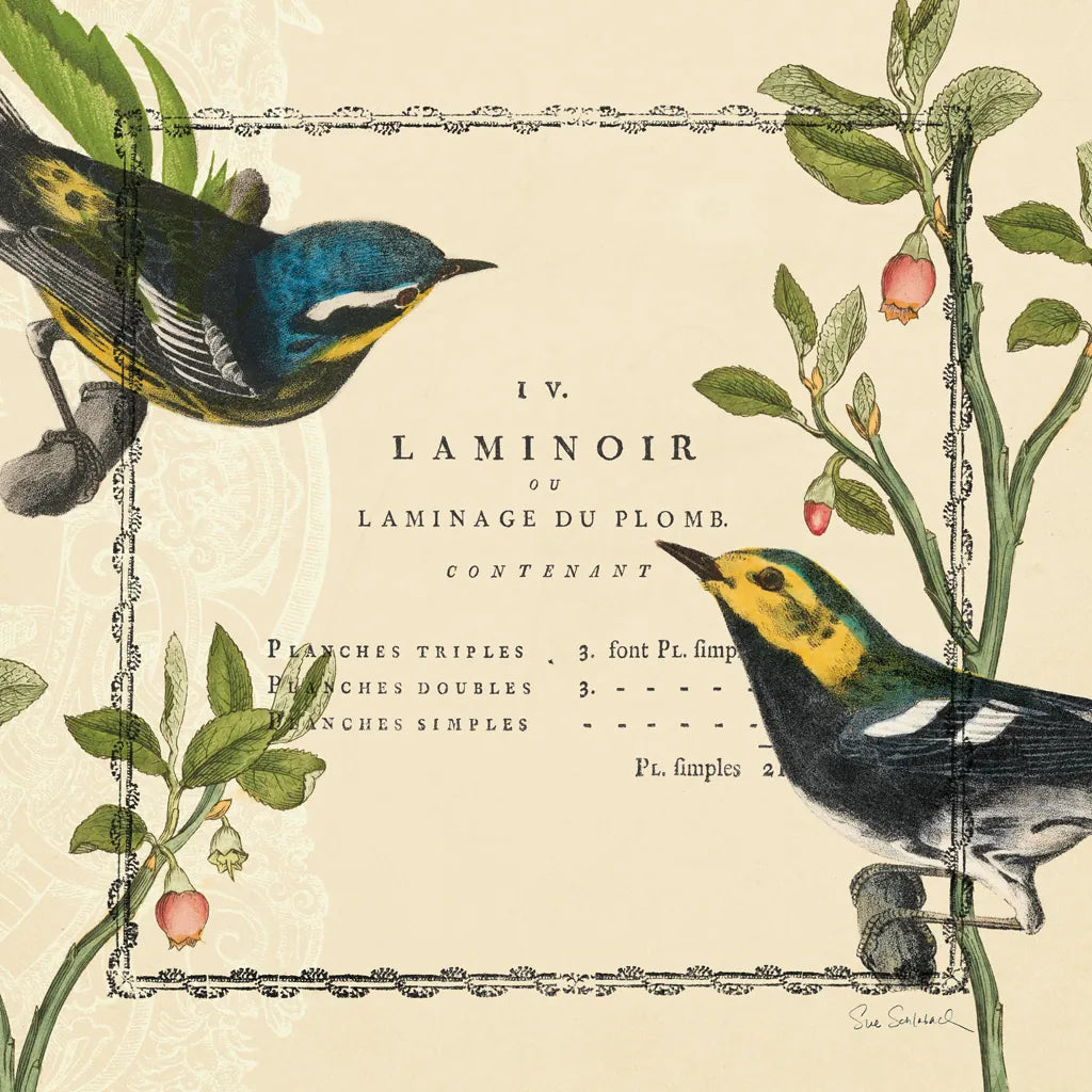 Summer Pages II by Sue Schlabach. SKU 5903a. Archival Giclee Fine art print for wall decor.