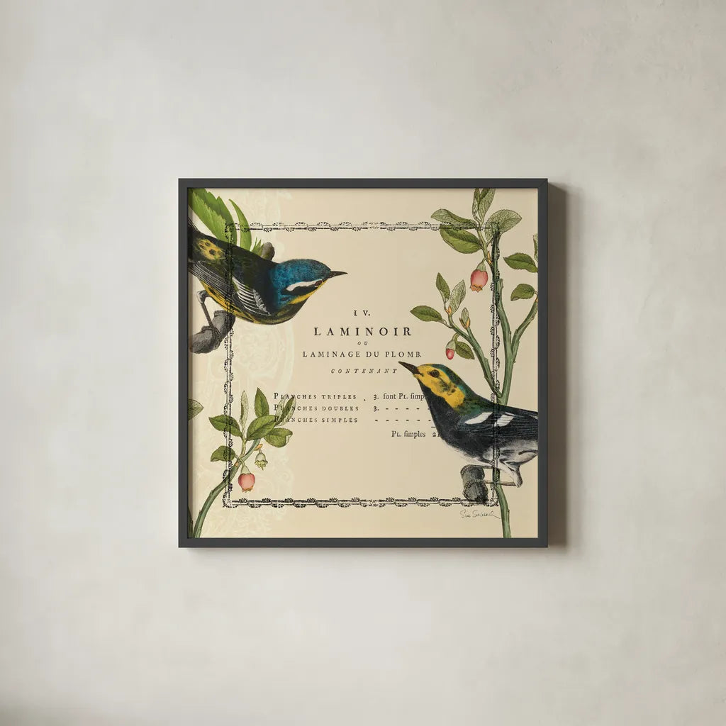 Summer Pages II by Sue Schlabach. Shown in a sleek black glass frame for a contemporary gallery look. Available as an archival giclee rolled canvas, fine art paper, or poster print. SKU 5903a.