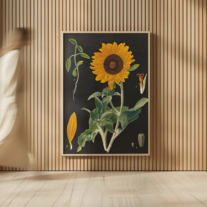 Sunflower Chart by Sue Schlabach. shown as over sized large wall art. Available as an archival giclee rolled canvas, fine art paper, or poster print. SKU 34923h.