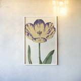 Tulip Botany No Words by Sue Schlabach. shown as a paper print in a white frame. Available as a archival giclee rolled canvas, fine art paper, or poster print. SKU 44796h.