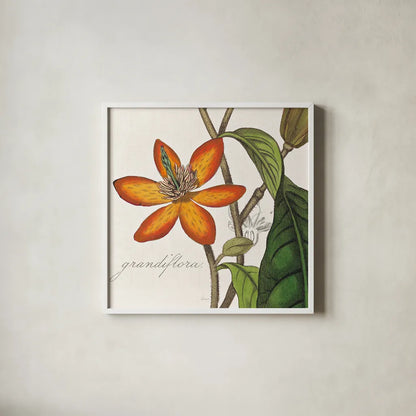 Vintage Flora Magnolia by Sue Schlabach. Shown in a crisp white glass frame for a clean and minimalist style. Available as an archival giclee rolled canvas, fine art paper, or poster print. SKU 44824a.
