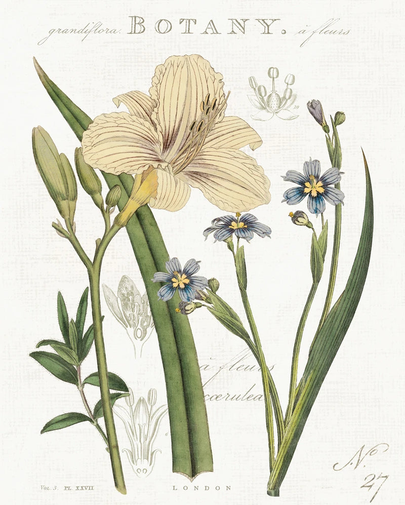 Vintage Floral II Neutral by Sue Schlabach