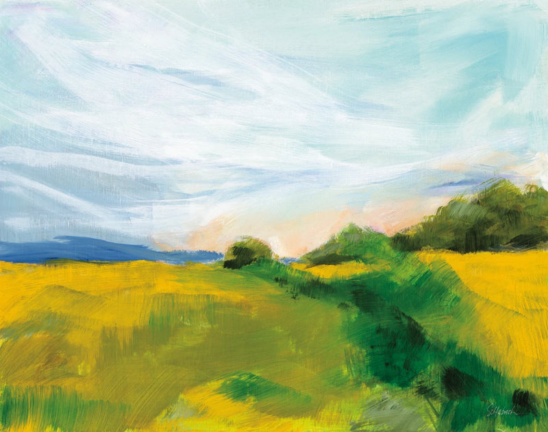 Walker Hill Meadow by Sue Schlabach