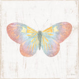 White Barn Butterflies I by Sue Schlabach. SKU 31770a. Archival Giclee Fine art print for wall decor.