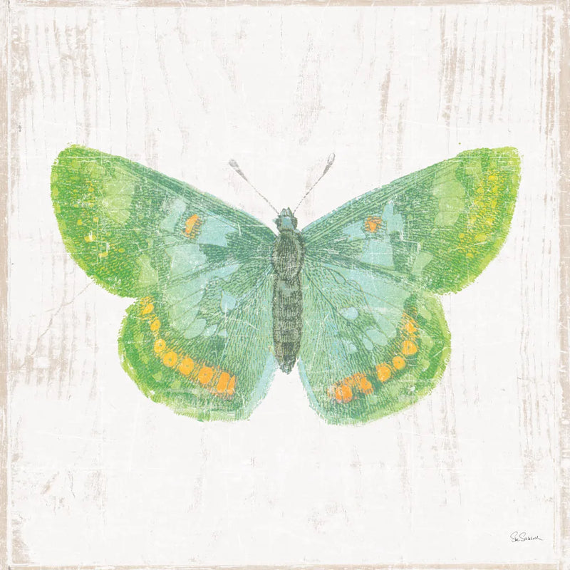 White Barn Butterflies II by Sue Schlabach. SKU 31771a. Archival Giclee Fine art print for wall decor.