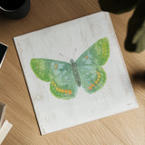 White Barn Butterflies II by Sue Schlabach. Shown as a detailed flat fine art print, highlighting archival giclee quality. Available as an archival giclee rolled canvas, fine art paper, or poster print. SKU 31771a.