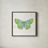White Barn Butterflies II by Sue Schlabach. Shown in a sleek black glass frame for a contemporary gallery look. Available as an archival giclee rolled canvas, fine art paper, or poster print. SKU 31771a.