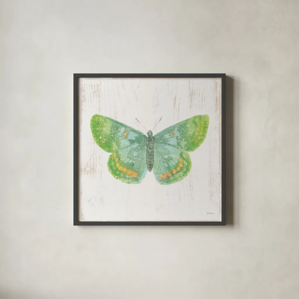White Barn Butterflies II by Sue Schlabach. Shown in a sleek black glass frame for a contemporary gallery look. Available as an archival giclee rolled canvas, fine art paper, or poster print. SKU 31771a.