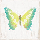 White Barn Butterflies III by Sue Schlabach. SKU 31772a. Archival Giclee Fine art print for wall decor.