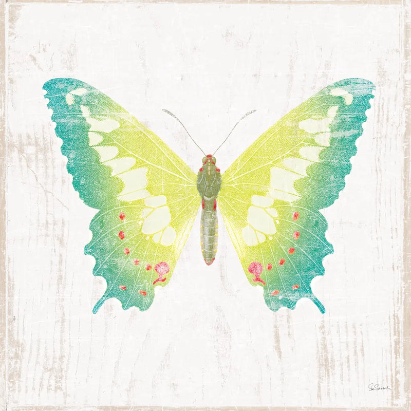 White Barn Butterflies III by Sue Schlabach. SKU 31772a. Archival Giclee Fine art print for wall decor.