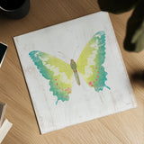 White Barn Butterflies III by Sue Schlabach. Shown as a detailed flat fine art print, highlighting archival giclee quality. Available as an archival giclee rolled canvas, fine art paper, or poster print. SKU 31772a.