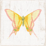 White Barn Butterflies IV by Sue Schlabach. SKU 31773a. Archival Giclee Fine art print for wall decor.