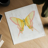 White Barn Butterflies IV by Sue Schlabach. Shown as a detailed flat fine art print, highlighting archival giclee quality. Available as an archival giclee rolled canvas, fine art paper, or poster print. SKU 31773a.